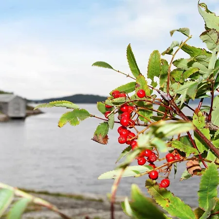 Five-bedroom Holiday In Masfjordnes Tatil Evi *